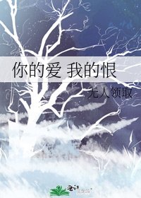 你的愛 我的恨